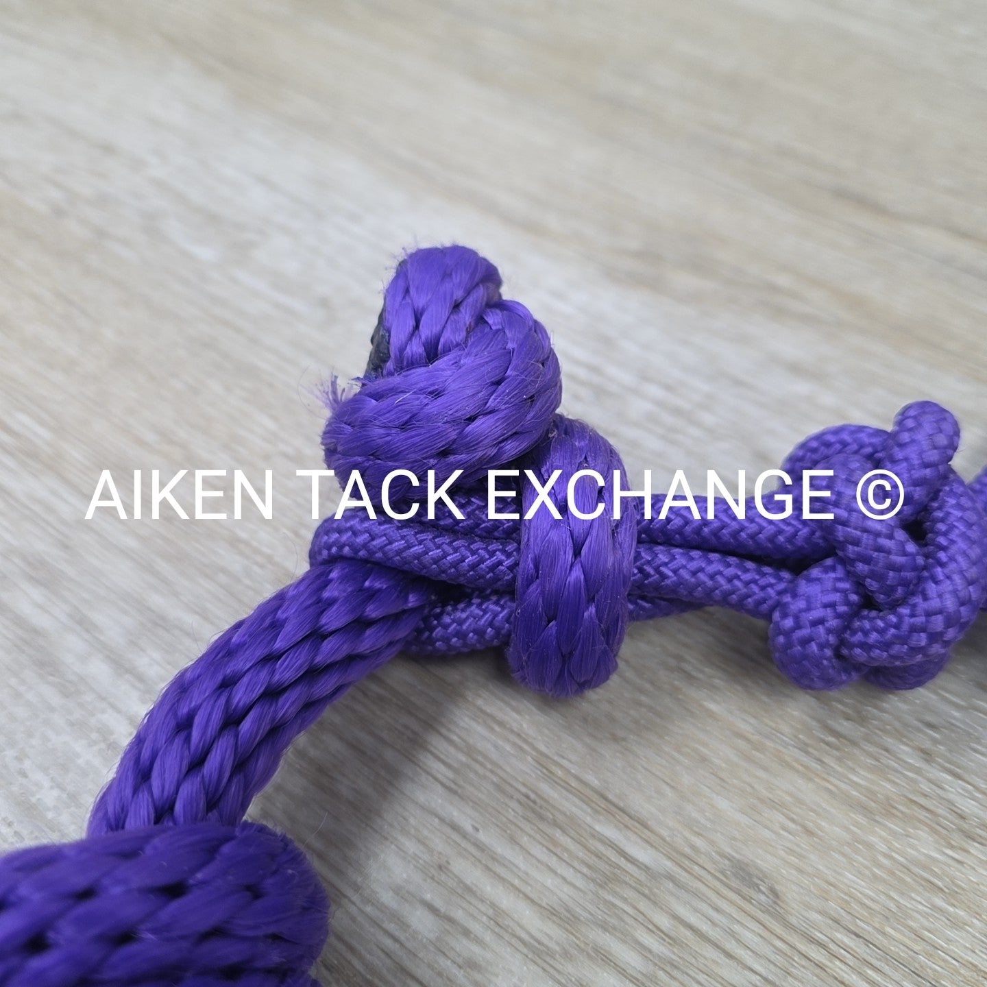 Rope Halter with Lead