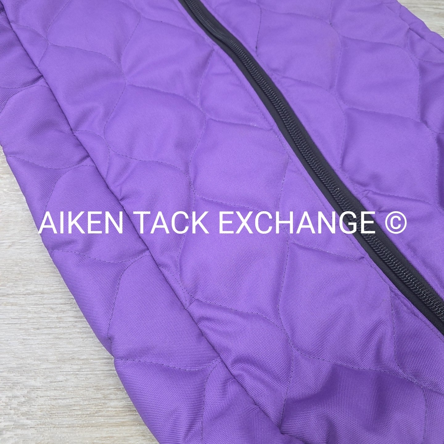 Padded Bridle Bag
