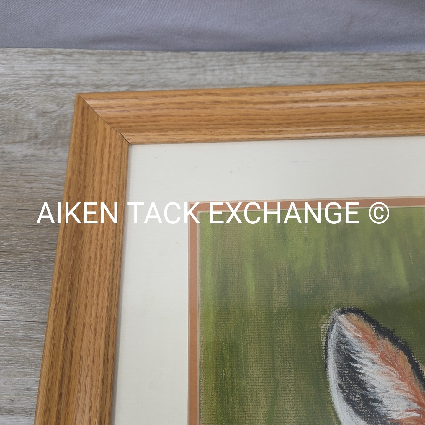 Fox Artwork, 19" x 23.5"