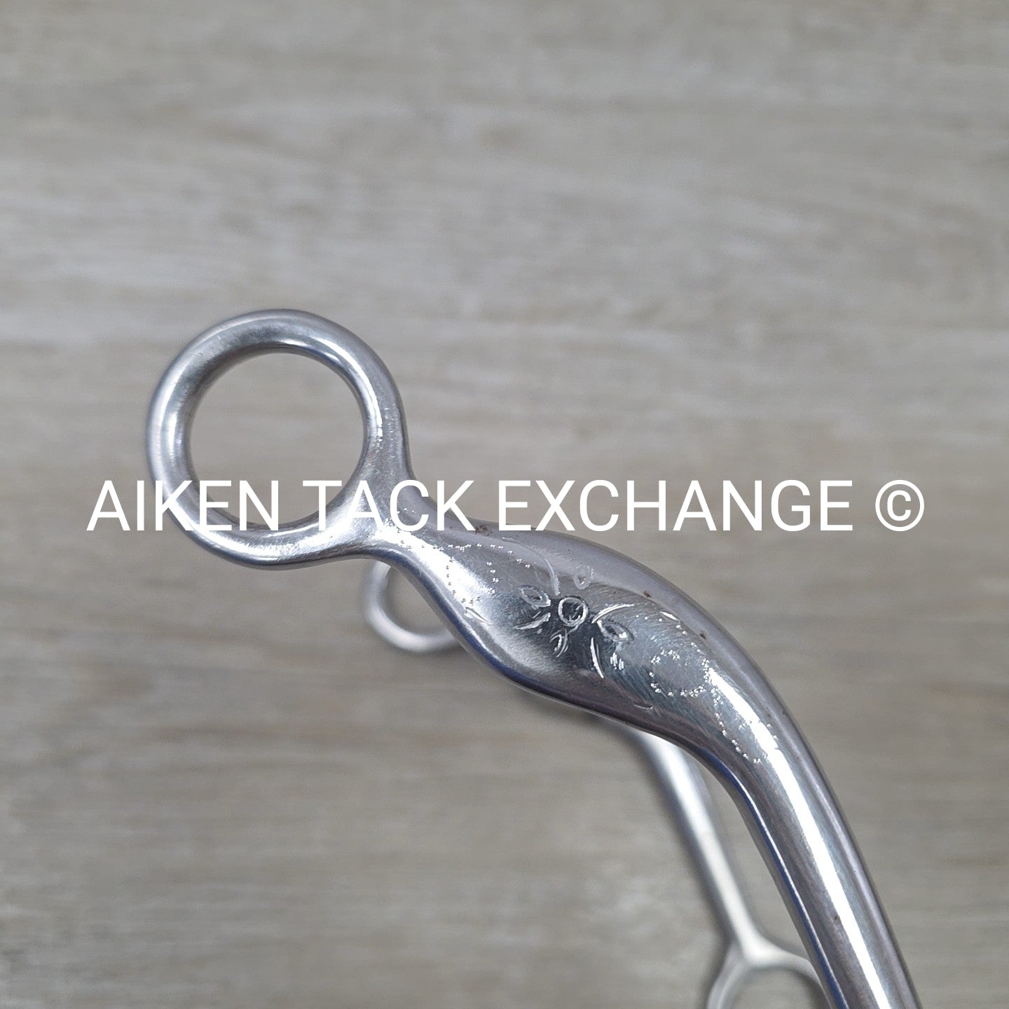 Ported Mullen Mouth Shanked Bit 5"