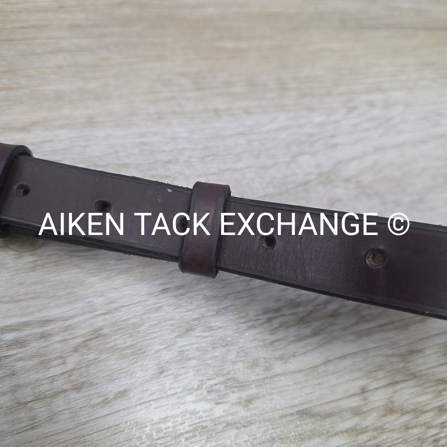 Standing Martingale, Made in England, Brown, Size Full
