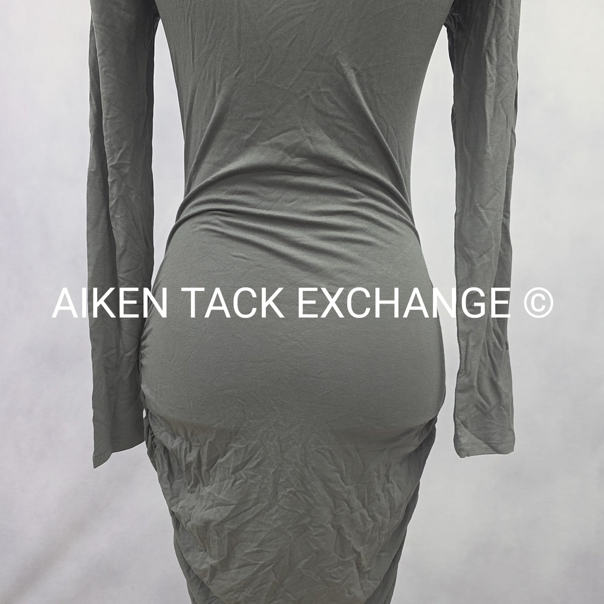 Venus Long Sleeve Dress, Size X-Small