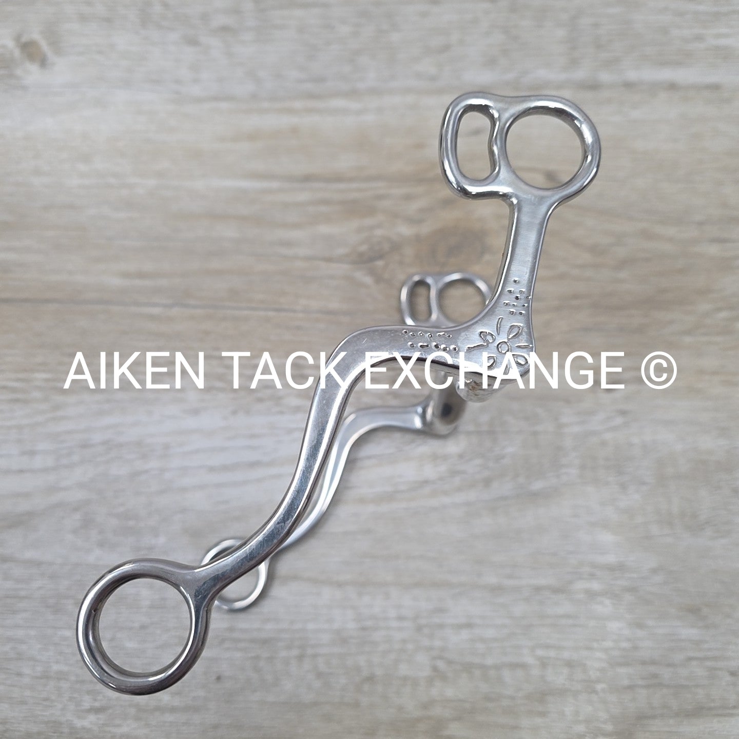 Ported Mullen Mouth Shanked Bit 5"