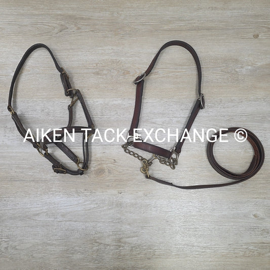 BARGAIN BUNDLE: 2 Leather Halters with 1 Leather Lead, Size Cob