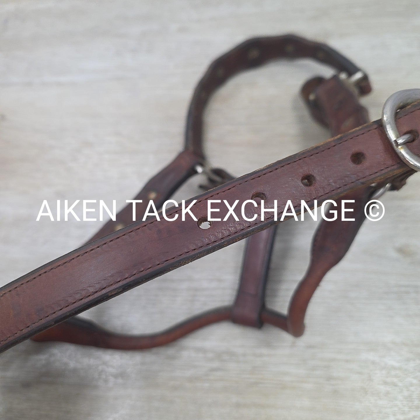 Western Show Halter, Size Full