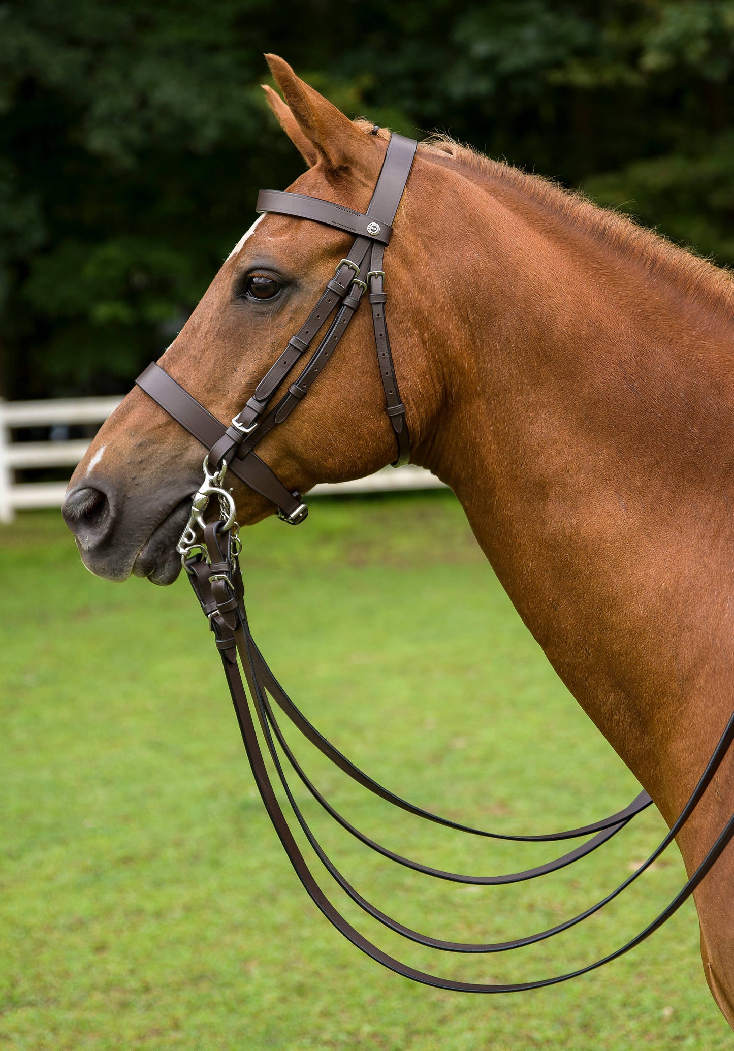HENRI DE RIVEL POLO BRIDLE WITH DOUBLE REINS: Pony