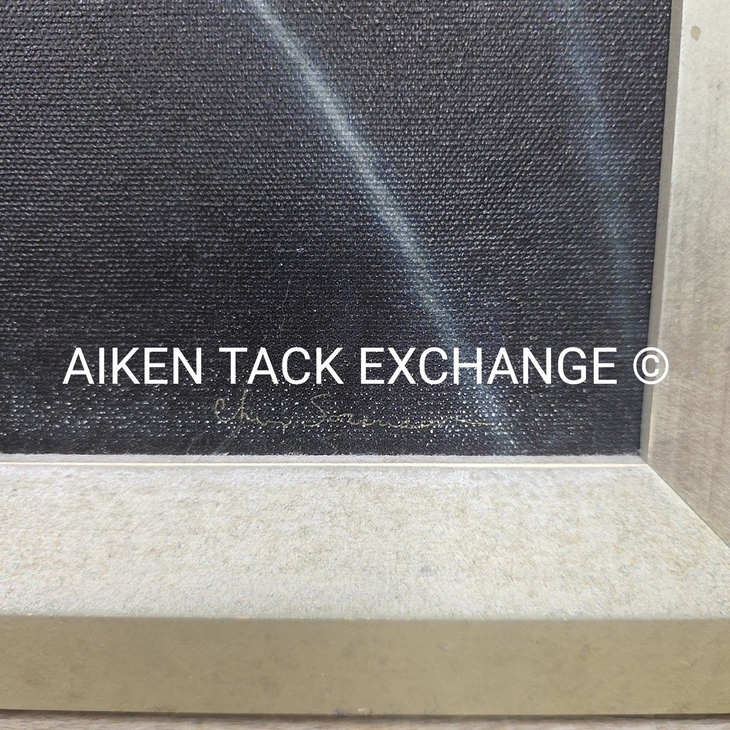 Horse Print on Canvas, 25.5" x 31.5"