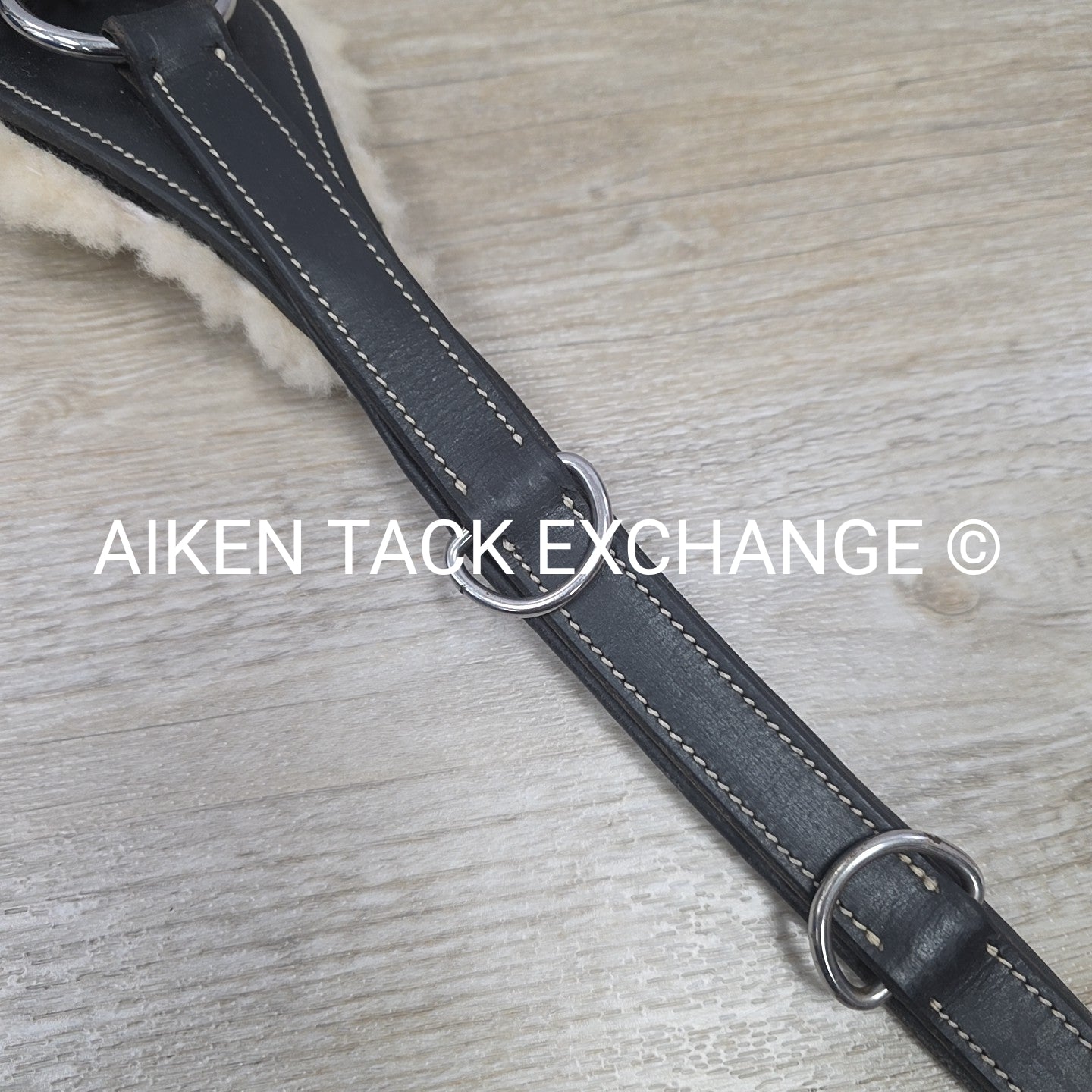 5 Point Elastic Breastplate with Running Martingale Attachment, Black, Size Pony