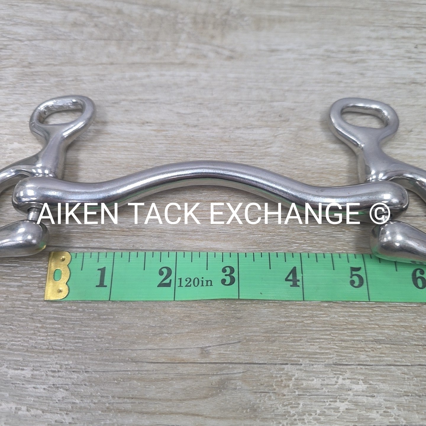 Mullen Mouth Shanked Walking Horse Bit 5"