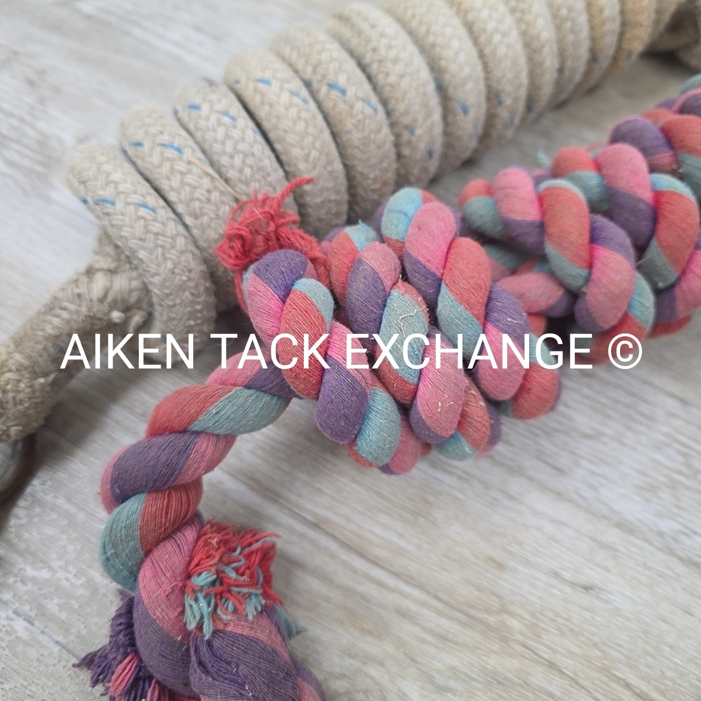 BARGAIN BUNDLE: Lead Ropes w/ Snaps