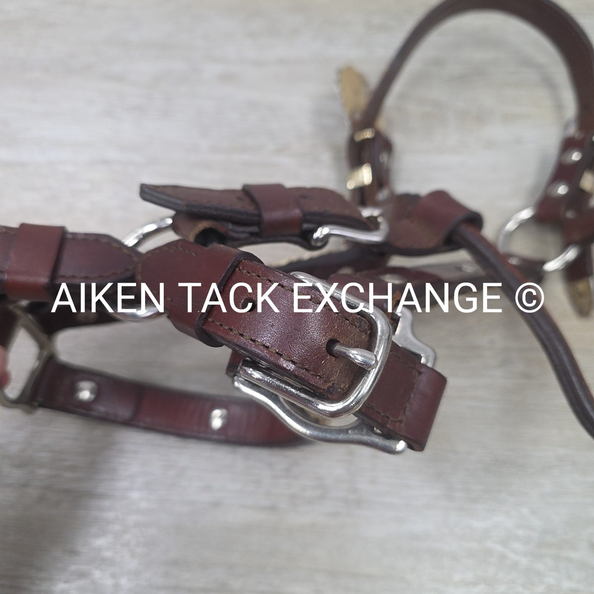 Western Show Halter, Size Full