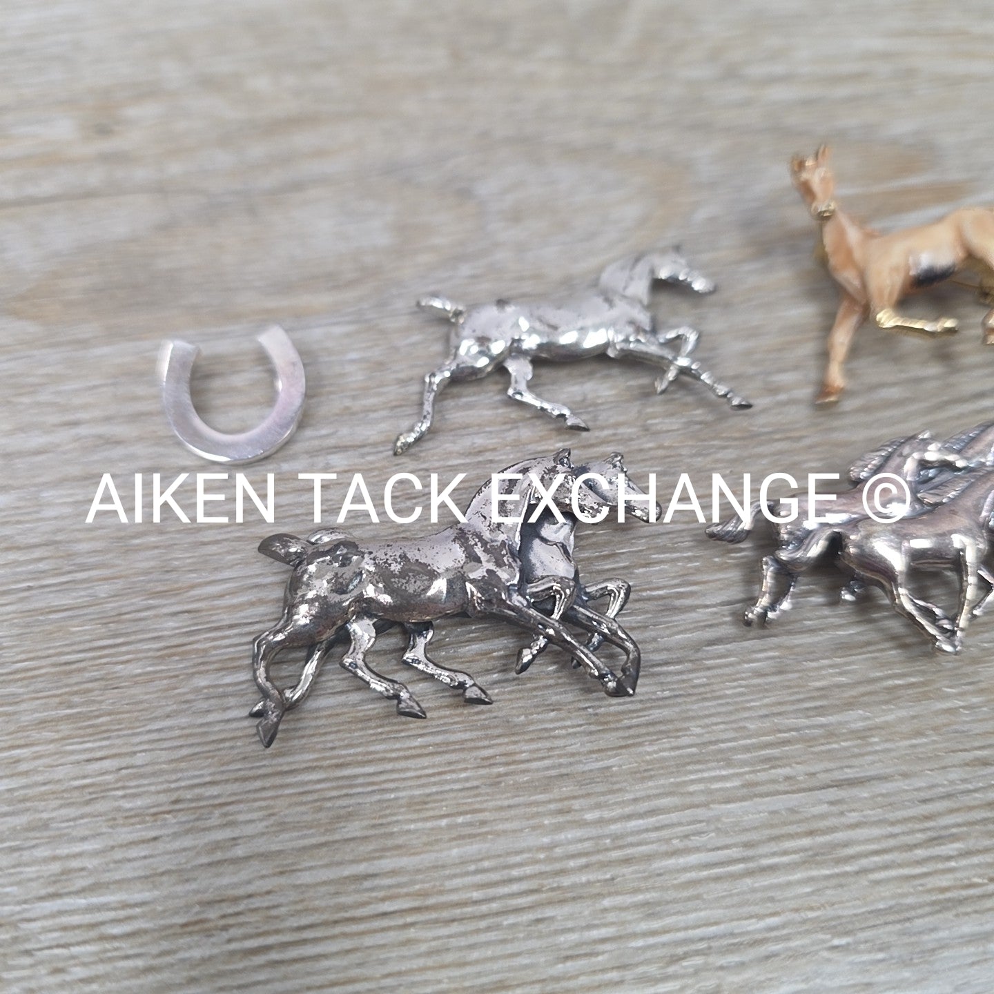 Horse Pin Bundle + 1 Horseshoe Charm