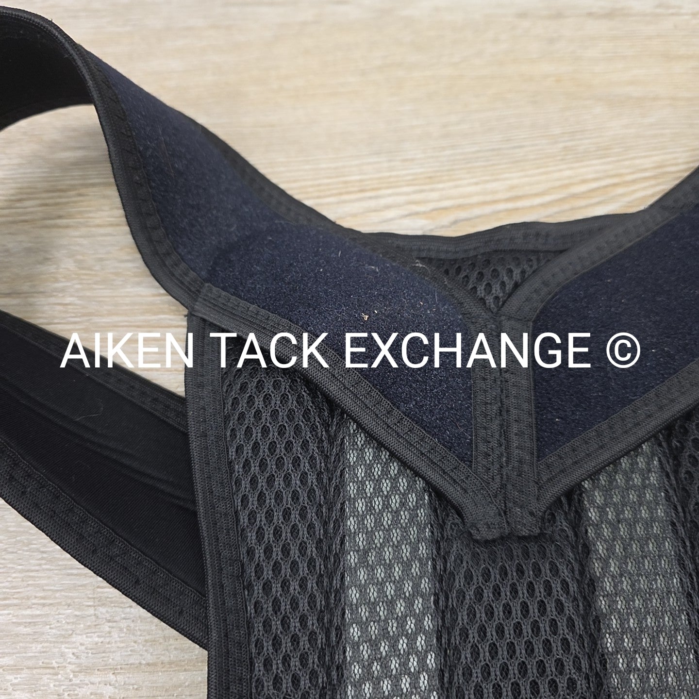 Equestorian Back Brace, Size Large