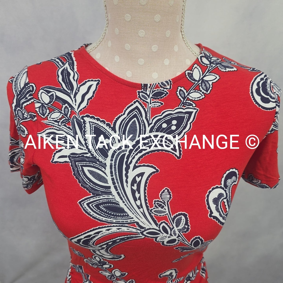 Venus T-Shirt Dress, Size X-Small