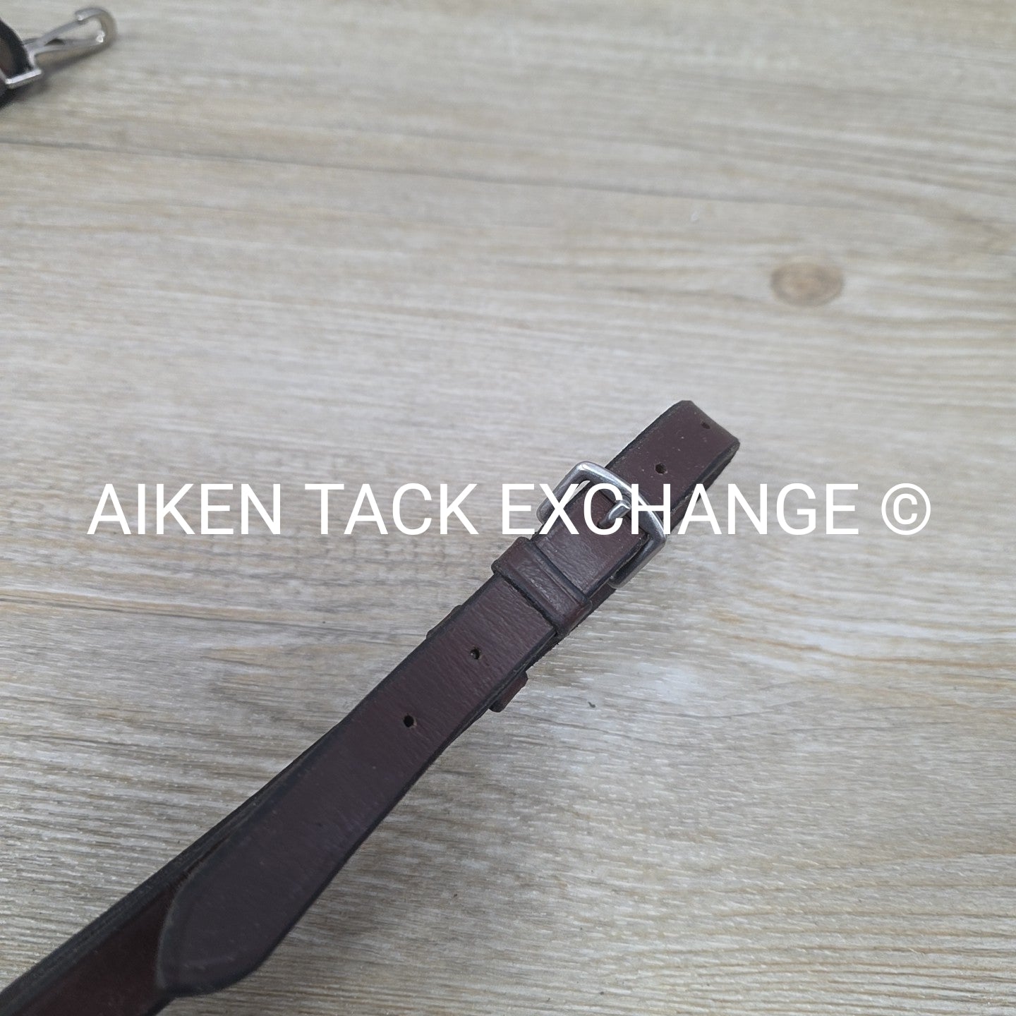 5 Point Elastic Breastplate, Brown, Size Cob