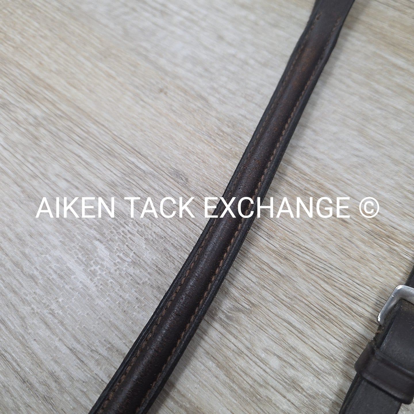 Plain Raised Standing Martingale, Brown, Size Cob