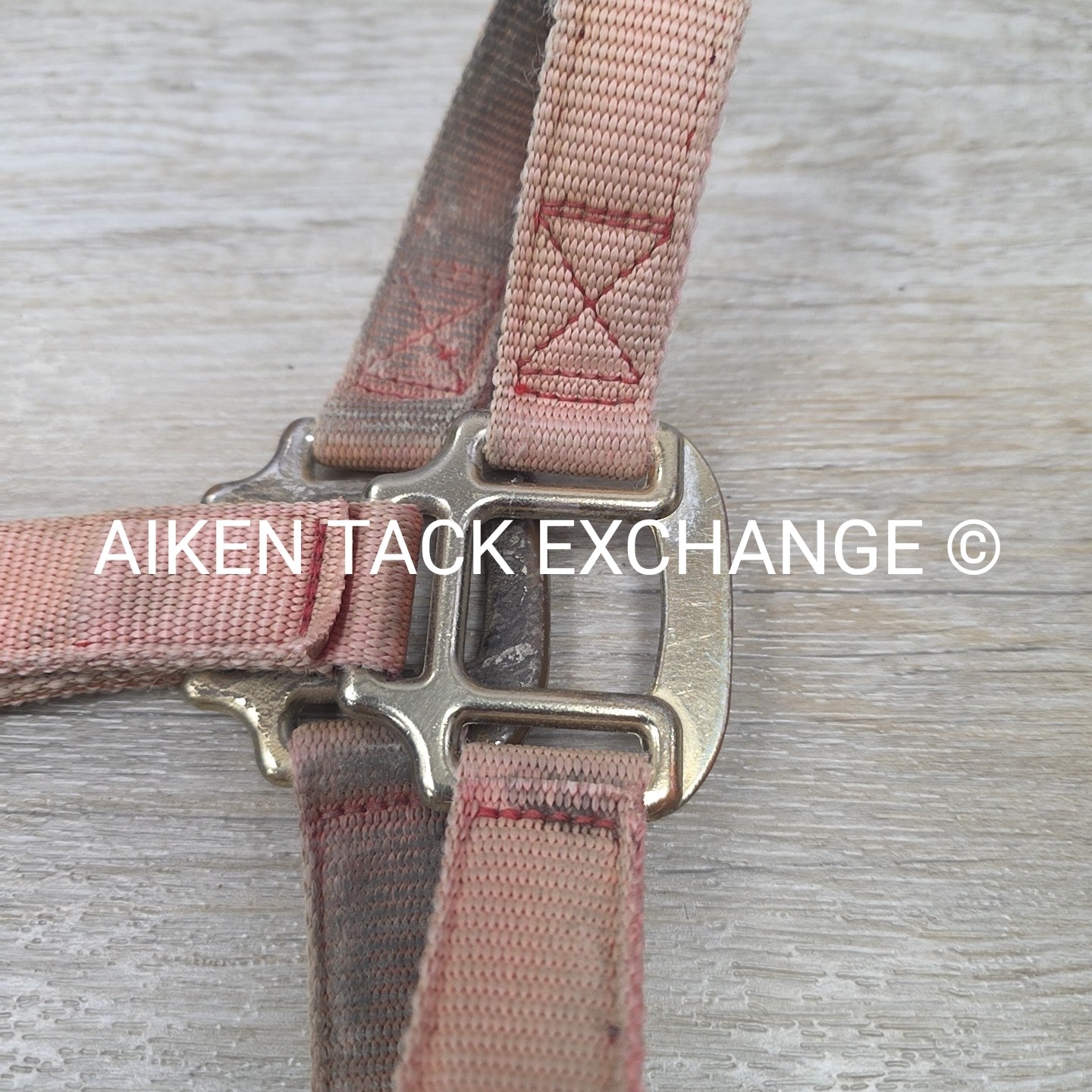 BARGAIN BUNDLE: Nylon Halter, Size Small with Lead Rope