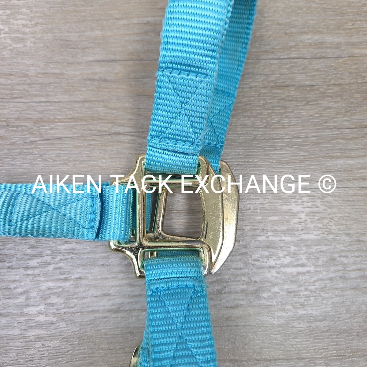 Nylon Halter, Size Cob