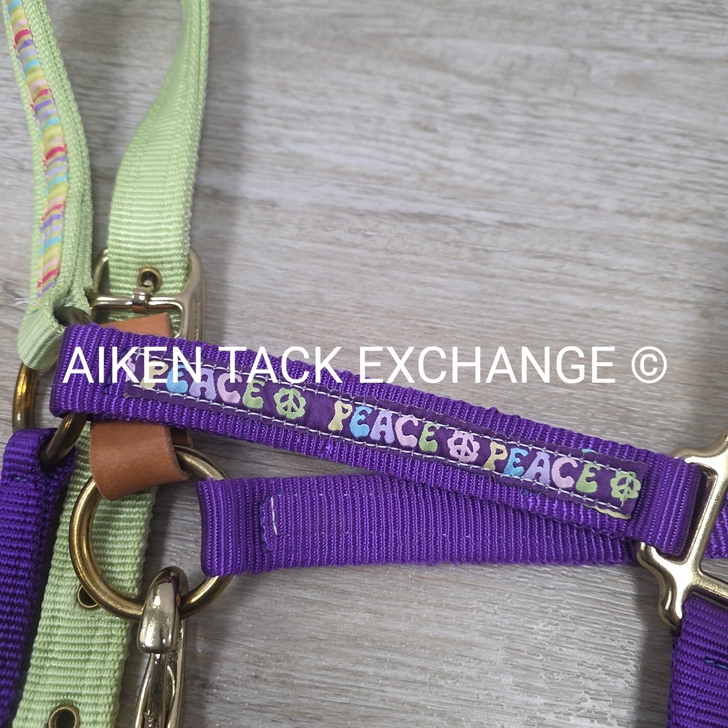 Perri's Nylon Breakaway Halter w/ Cotton Lead Rope, Size Cob