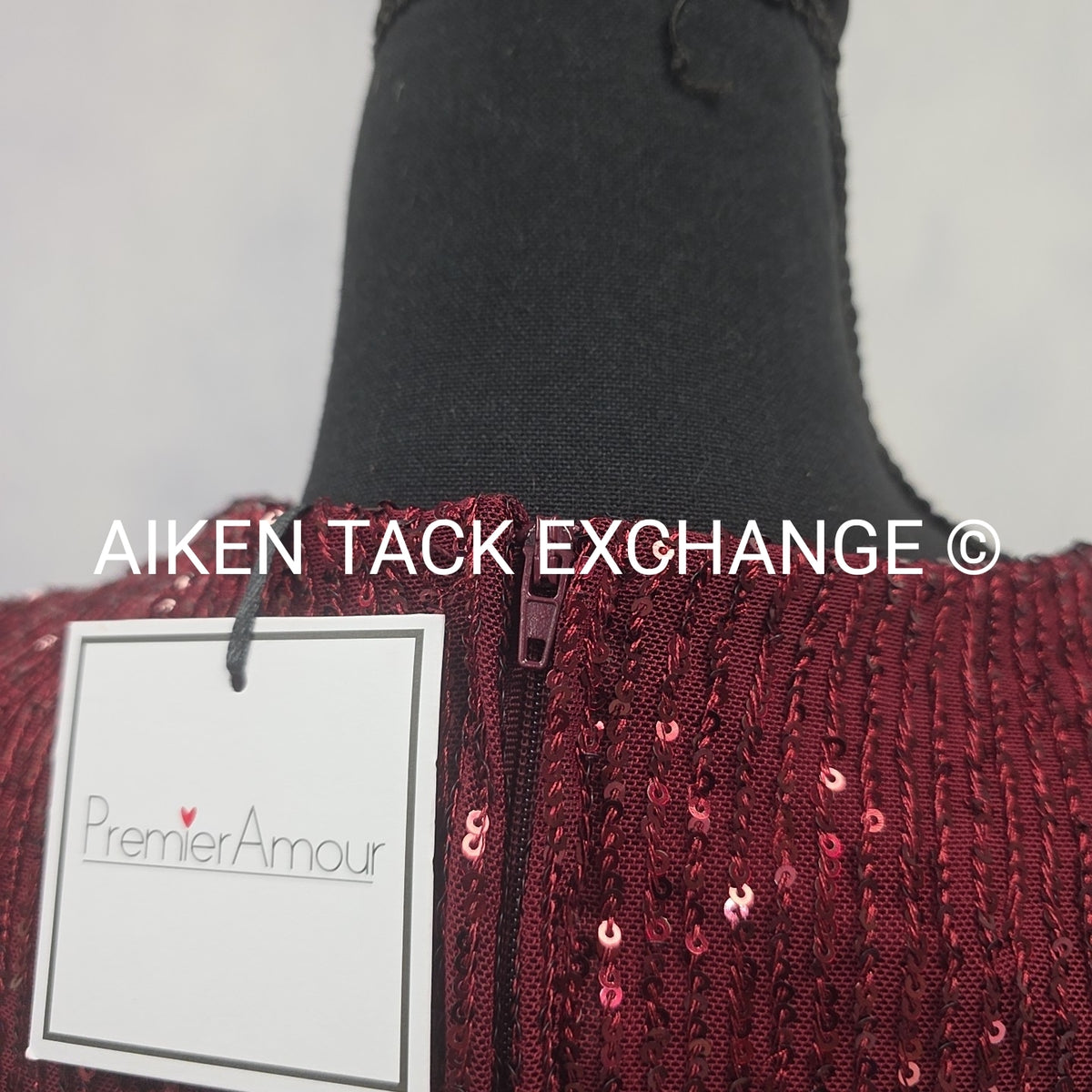 Premier Amour Long Sleeve Dress, Size 4