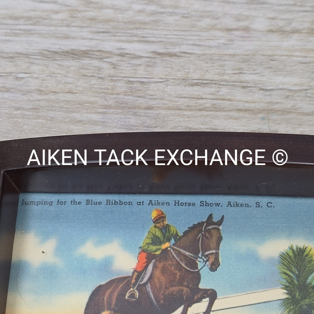 Aiken Equestrian Collage, 6" x 11"