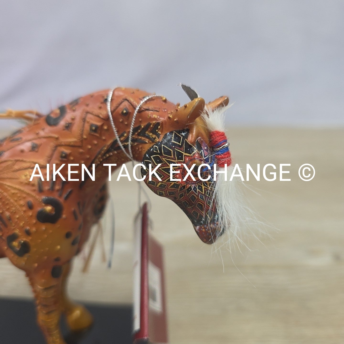 Trail of Painted Ponies - Reunion Of The Family Man