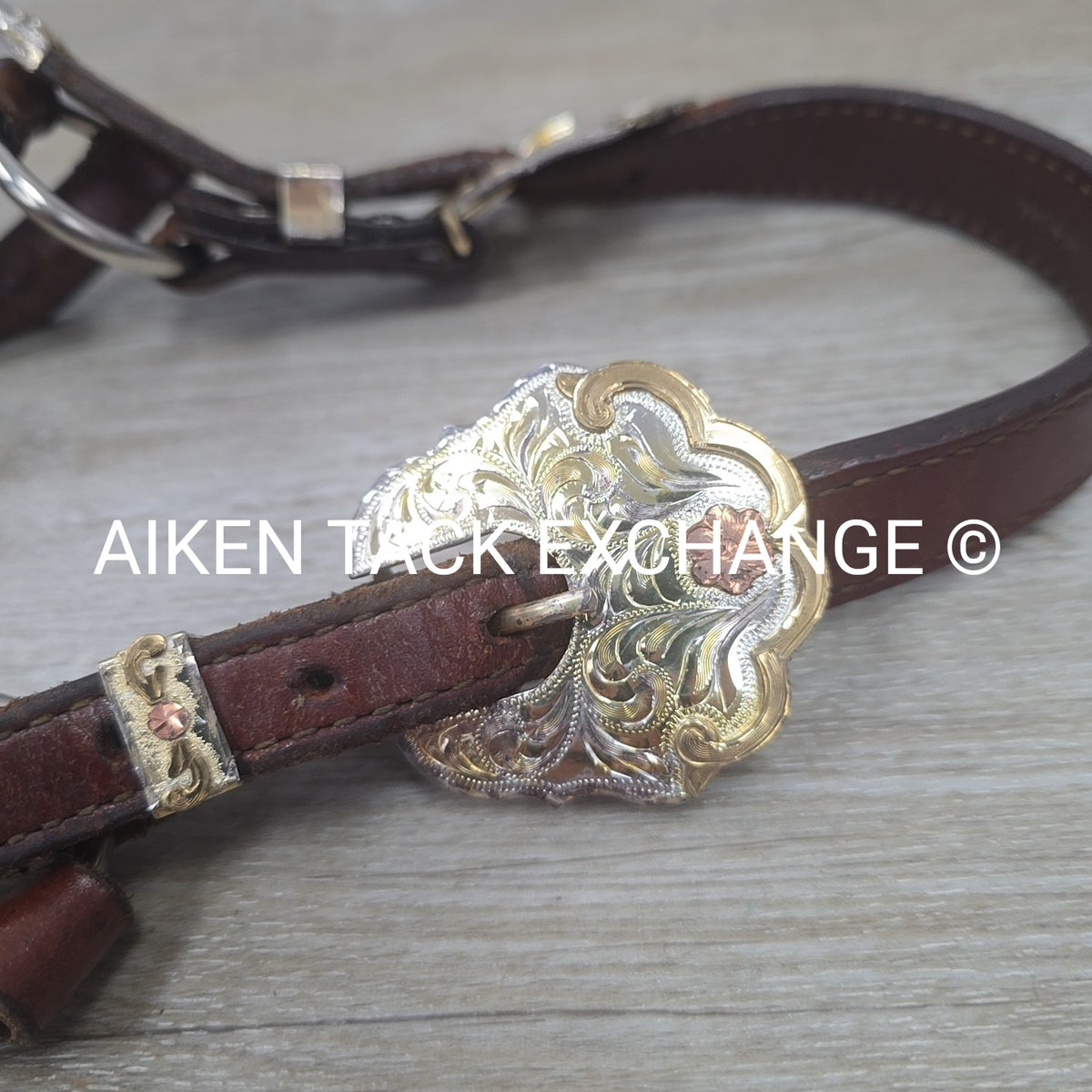 Western Show Halter, Size Full
