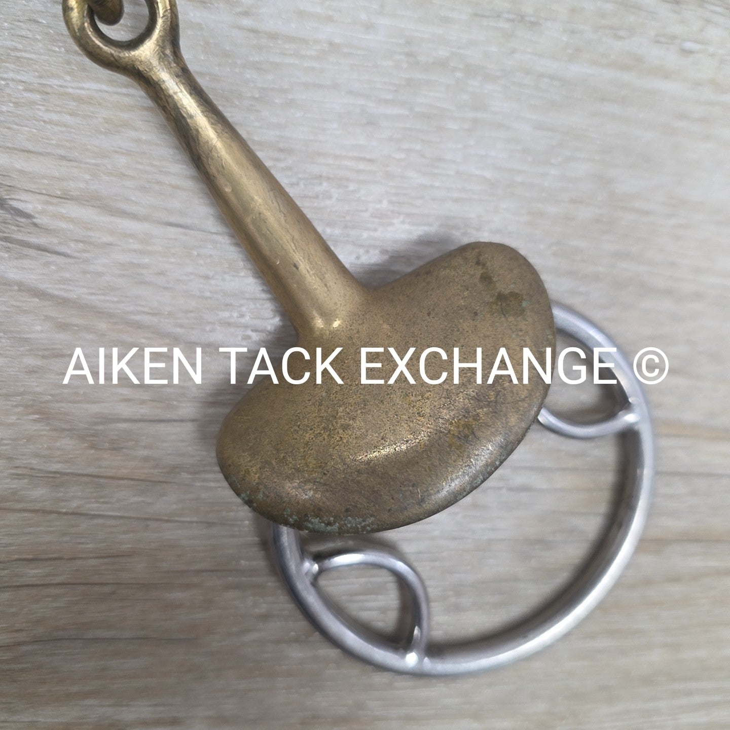 Stubben Golden Wings Double Joint Beval Loop Gag Bit 5.75"