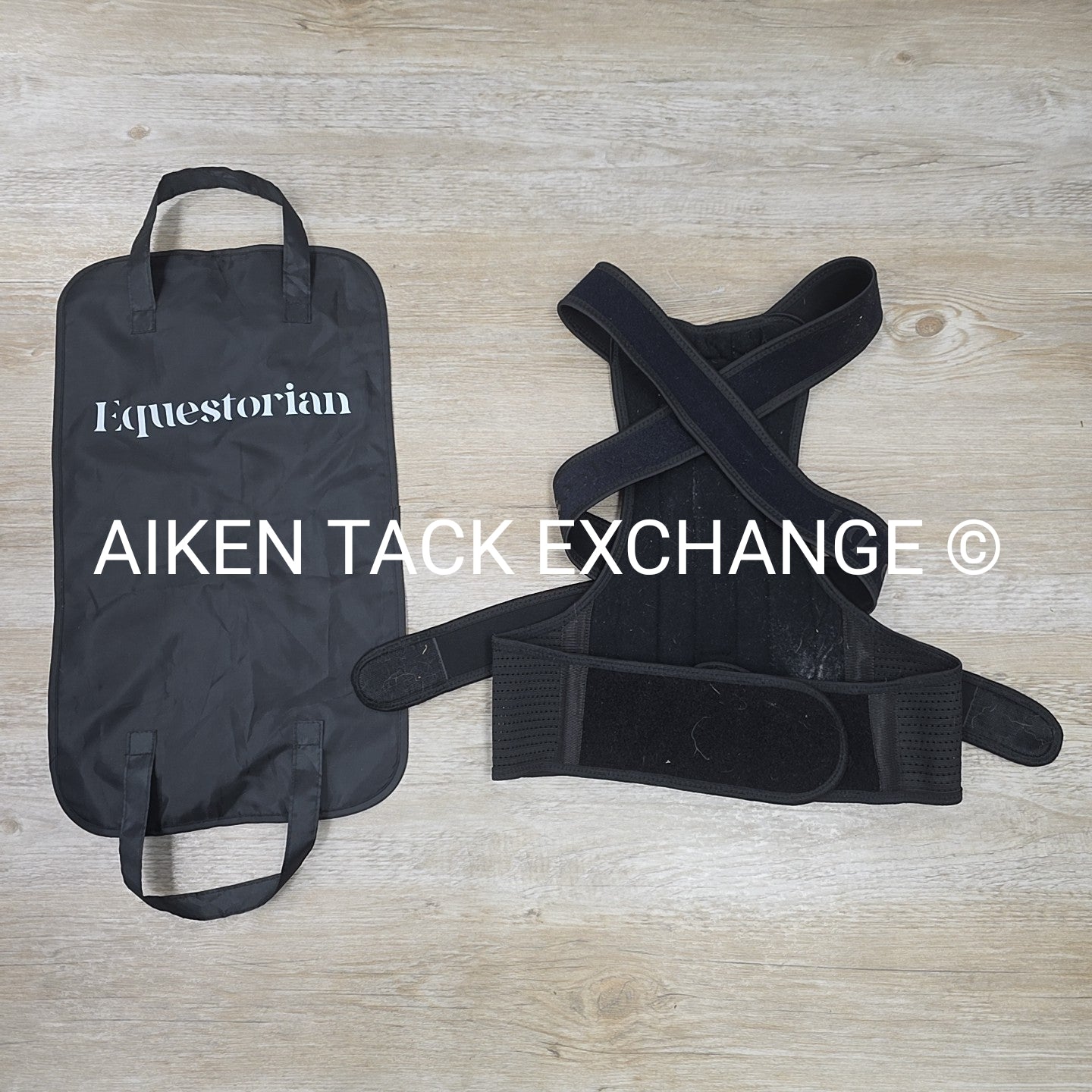 Equestorian Back Brace, Size Large