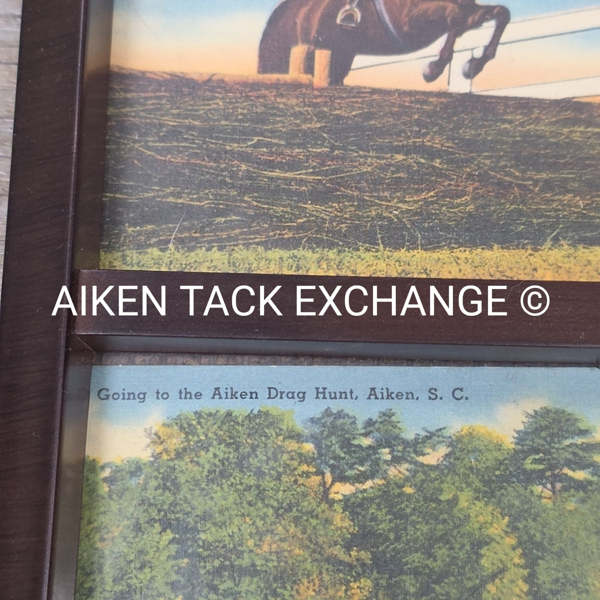 Aiken Equestrian Collage, 6" x 11"