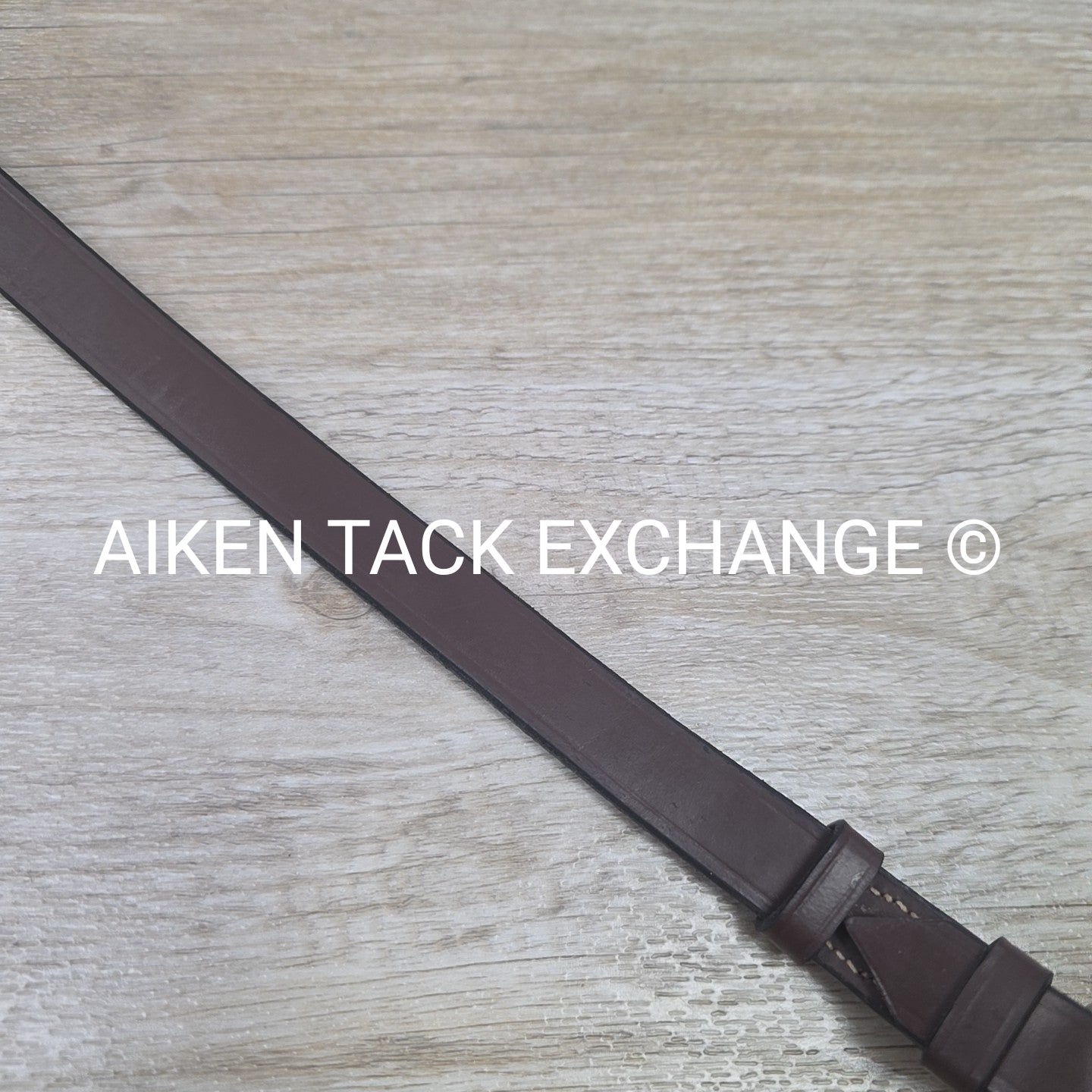 HDR Pro 5 Point Elastic Breastplate, Brown, Size Full