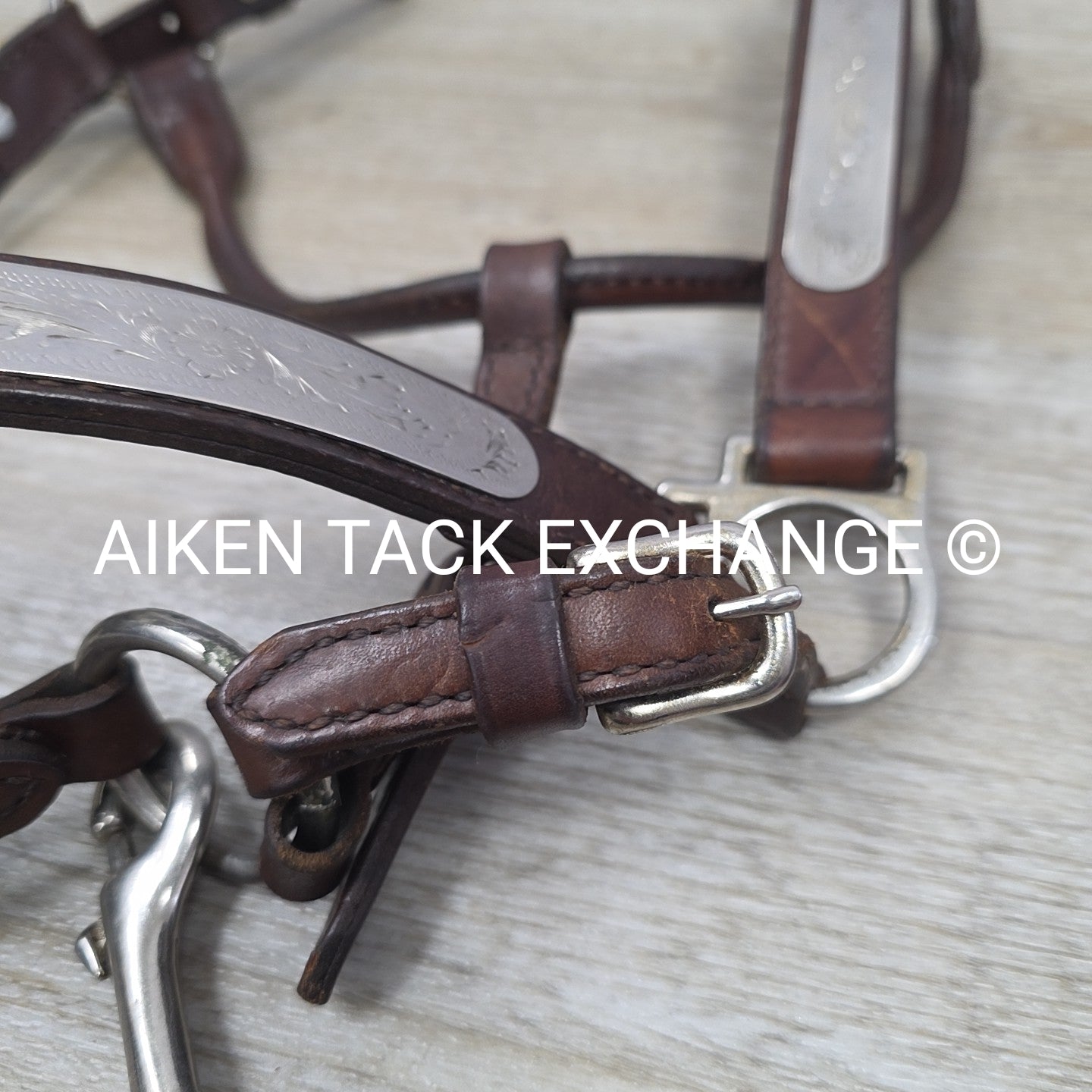 Circle Y Engraved Show Halter with Matching Lead, Size Full