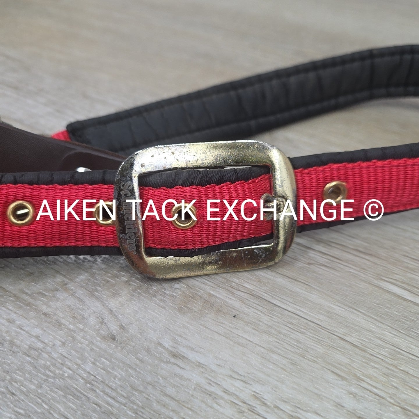 Schneiders Padded Breakaway Halter, Oversize