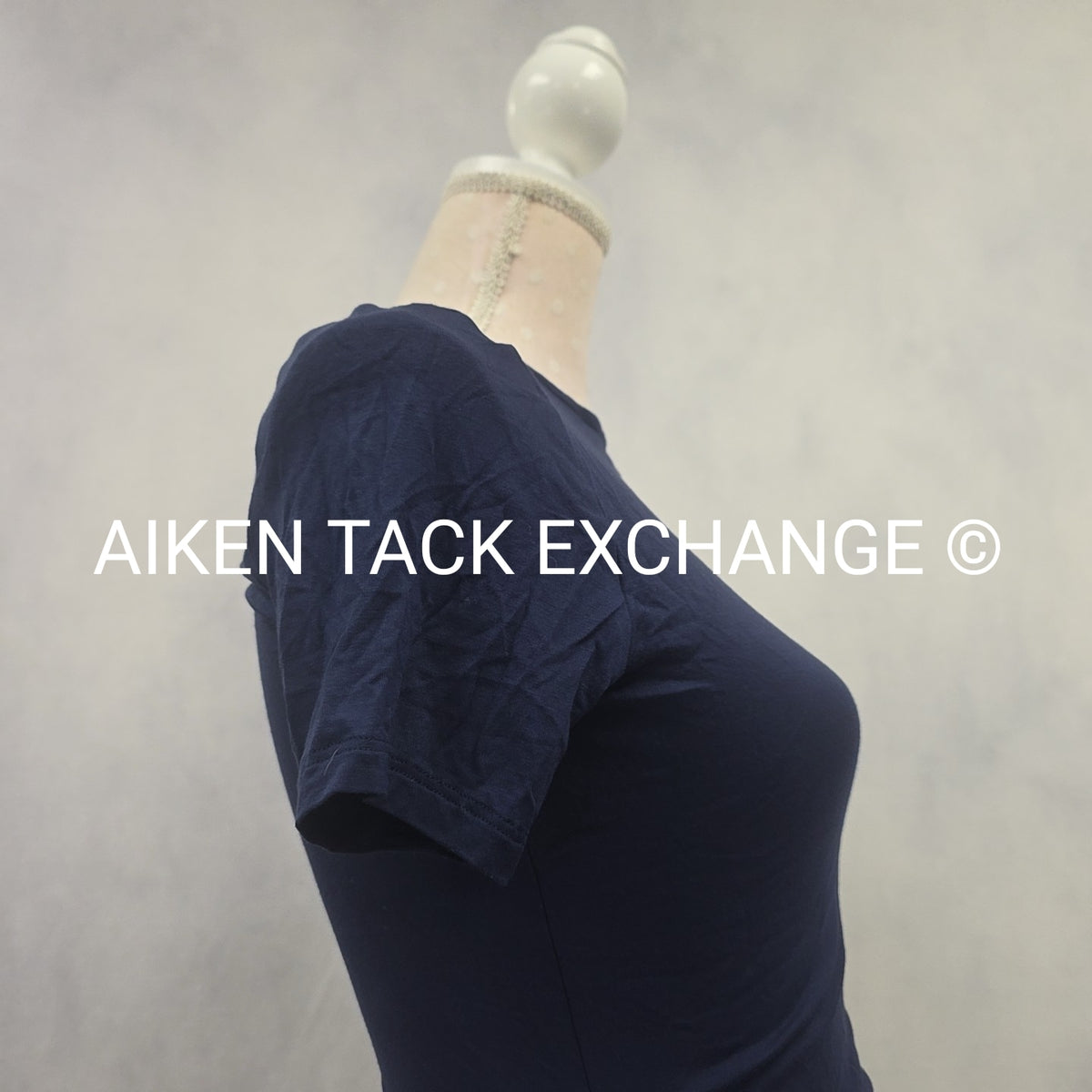 Venus T-Shirt Dress, Size X-Small