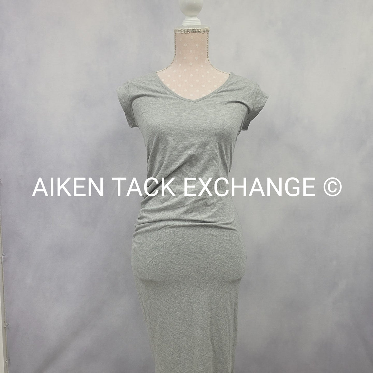 Venus T-Shirt Dress, Size X-Small