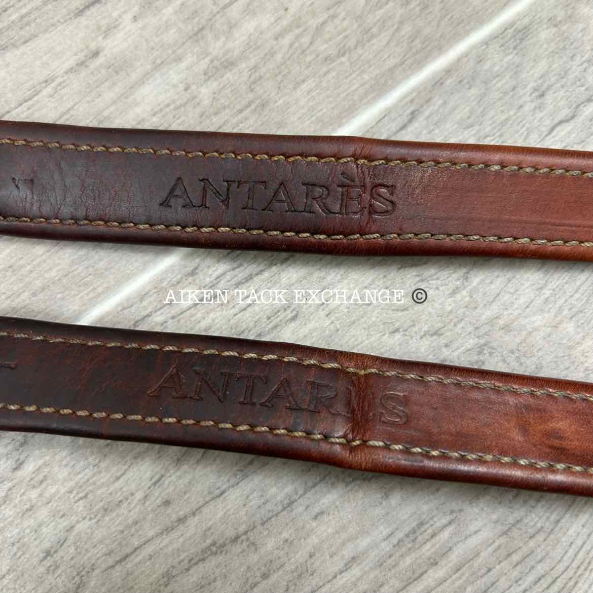 Antares Stirrup Leathers, Brown, 50"