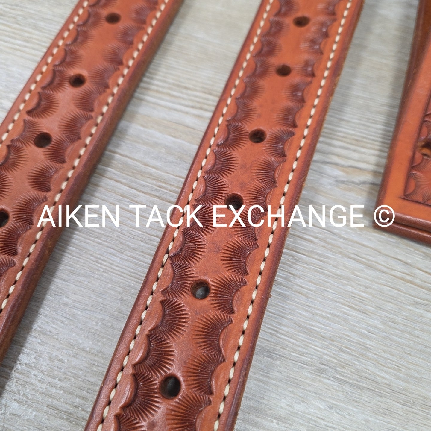 Rear Cinch Billets with Extenders