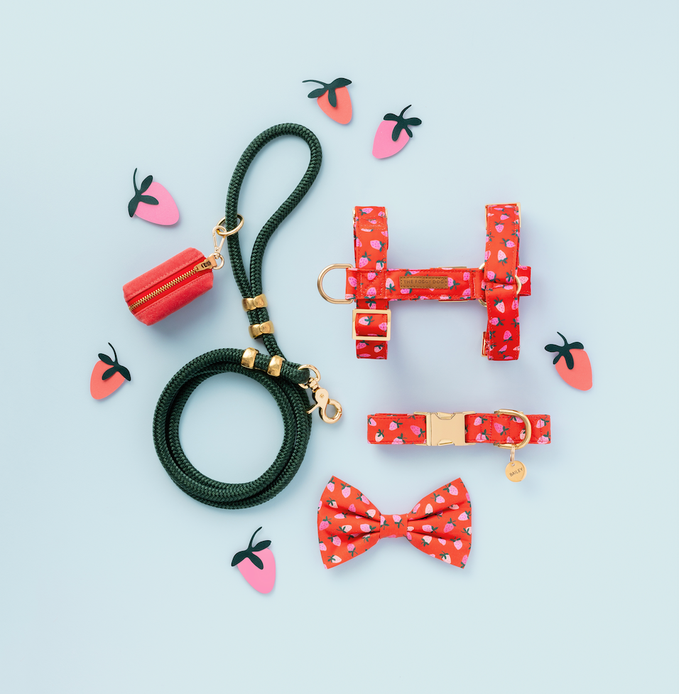 The Foggy Dog - Berry Sweet Dog Bow Tie: Large