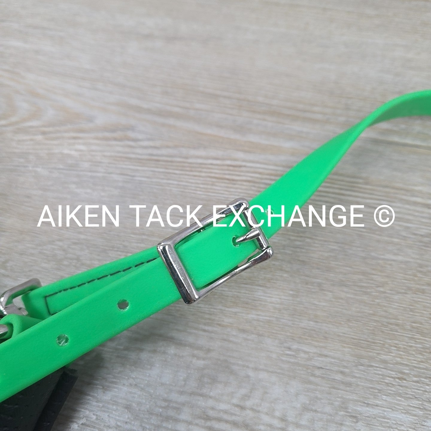 Biothane Bitless Bridle with Reins & Breastplate, Green, Size Full