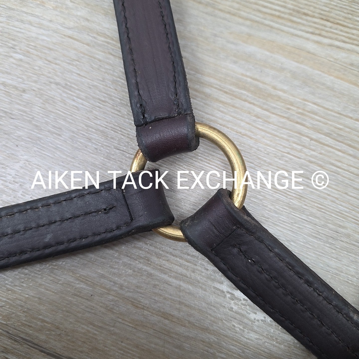 Perri's Heavy Duty Track Halter w/ Snap, Size Cob