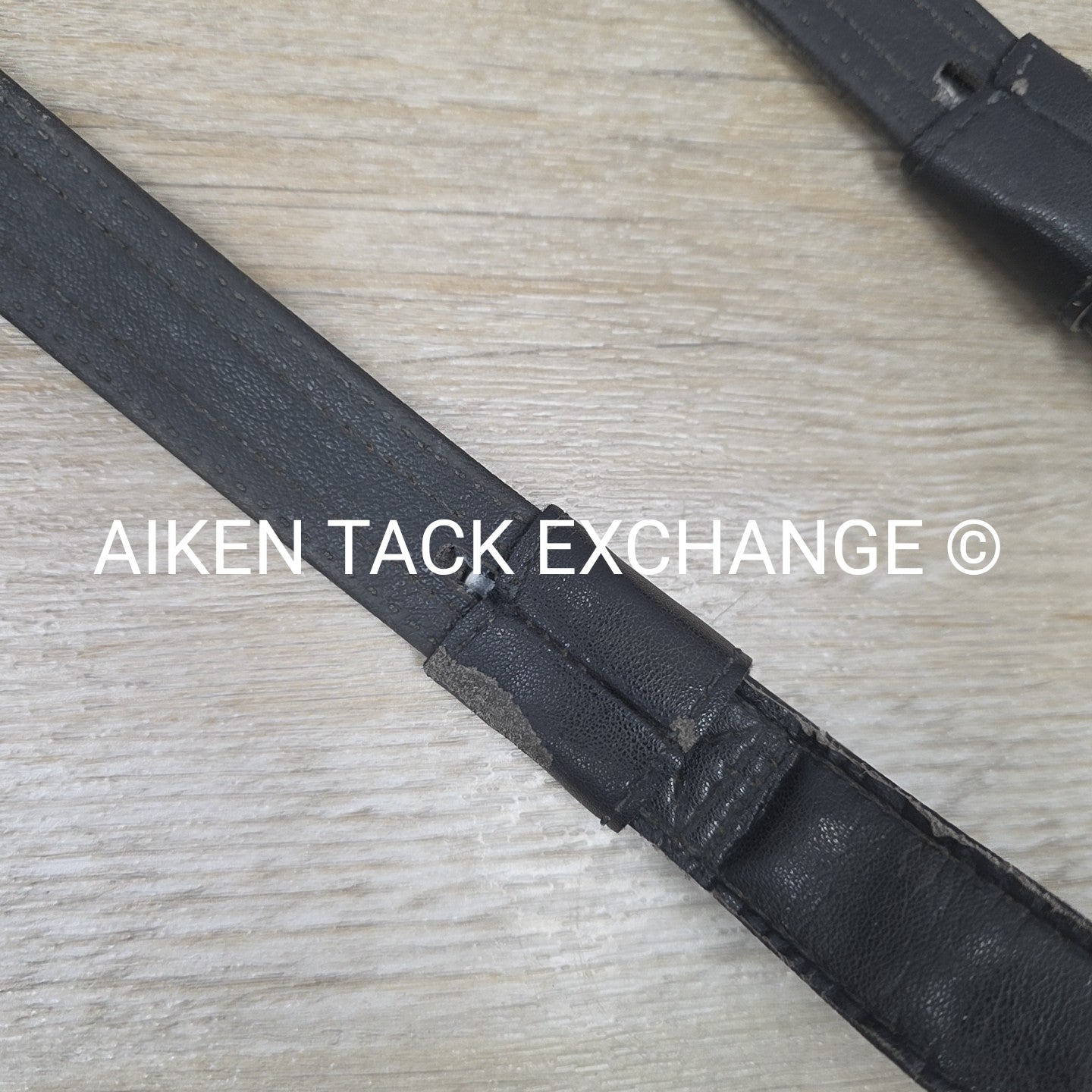 Wintec Webbers, Black