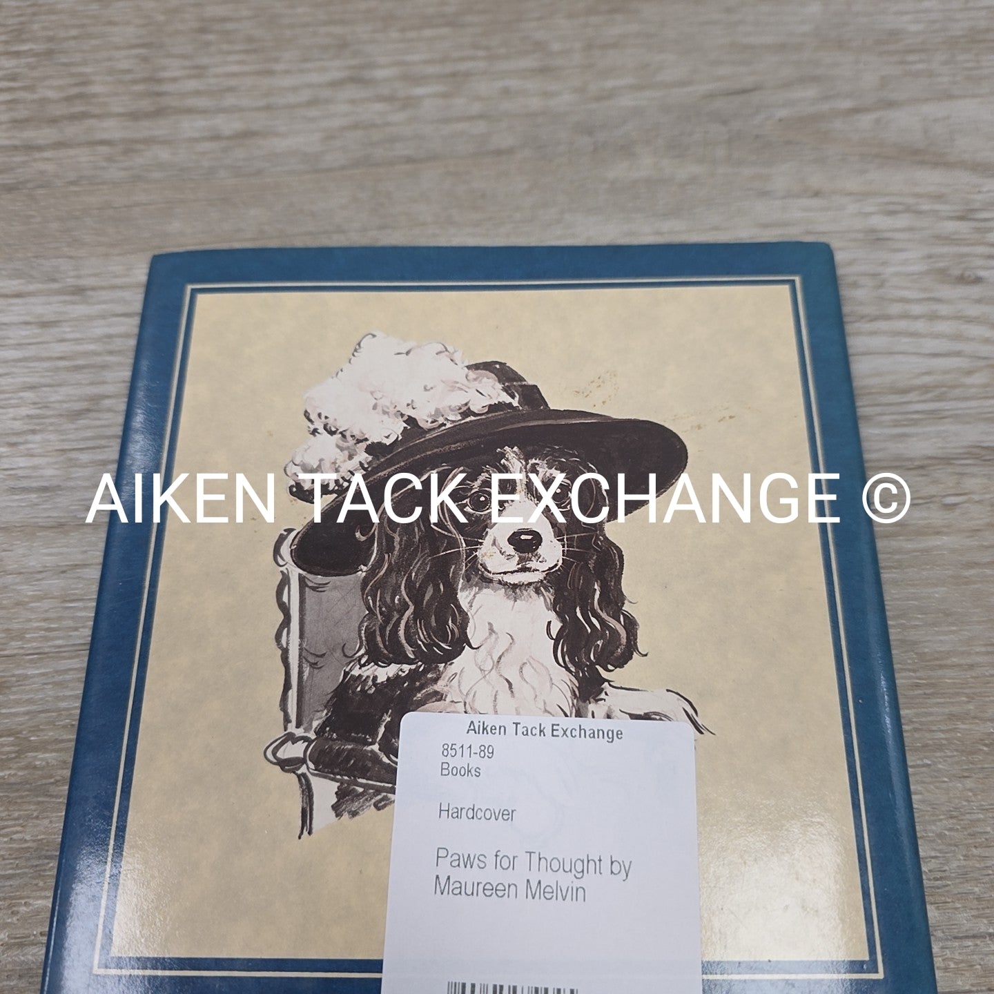 Paws for Thought by Maureen Melvin