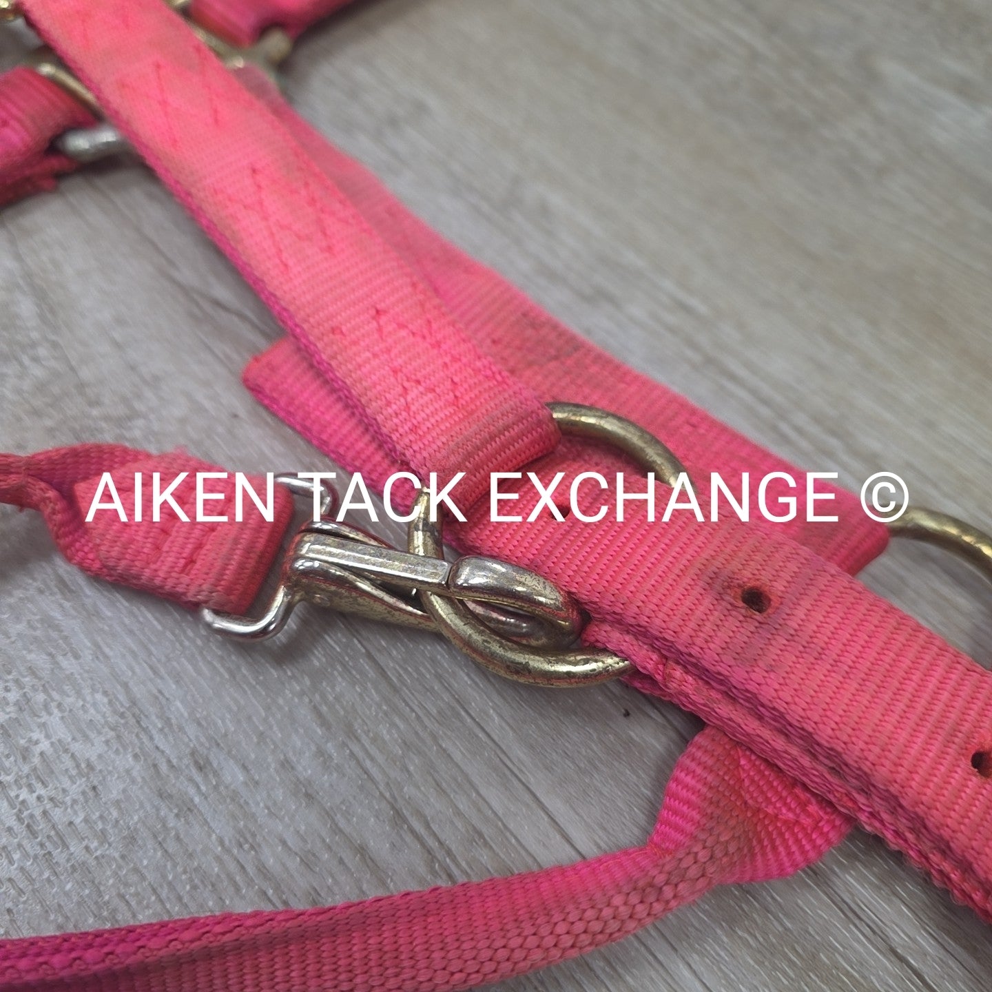 BARGAIN BUNDLE: 2 Nylon Halters & 2 Lead Ropes