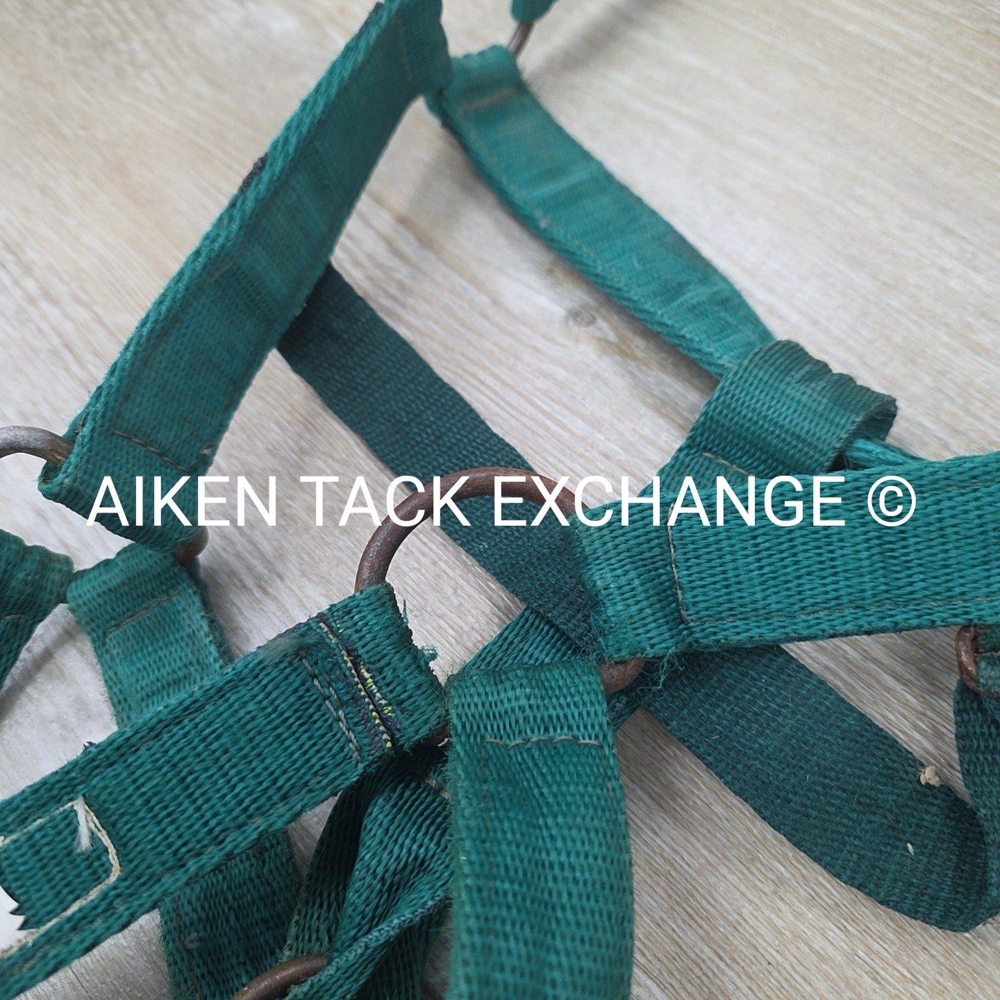 BARGAIN BUNDLE 5 Weaver Leather Nylon Halters, Size Horse