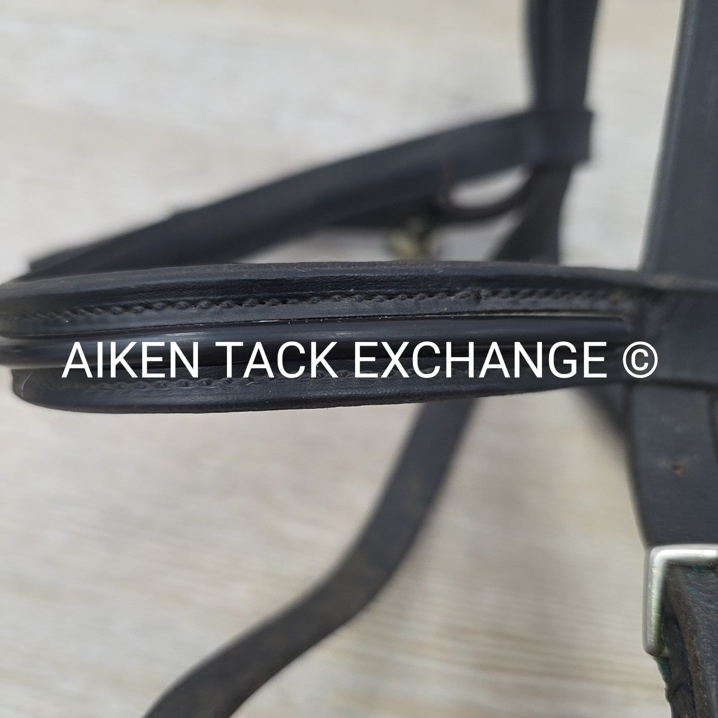 BARGAIN BUNDLE: Otto Schumacher Flash Bridle with Passier Cotton Web Reins, Blac