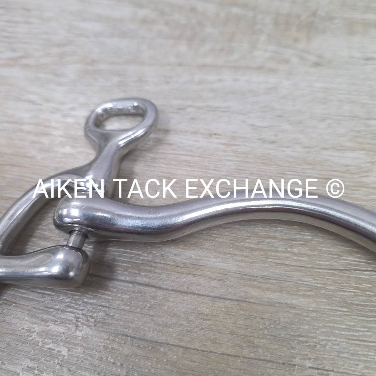 Mullen Mouth Shanked Walking Horse Bit 5"