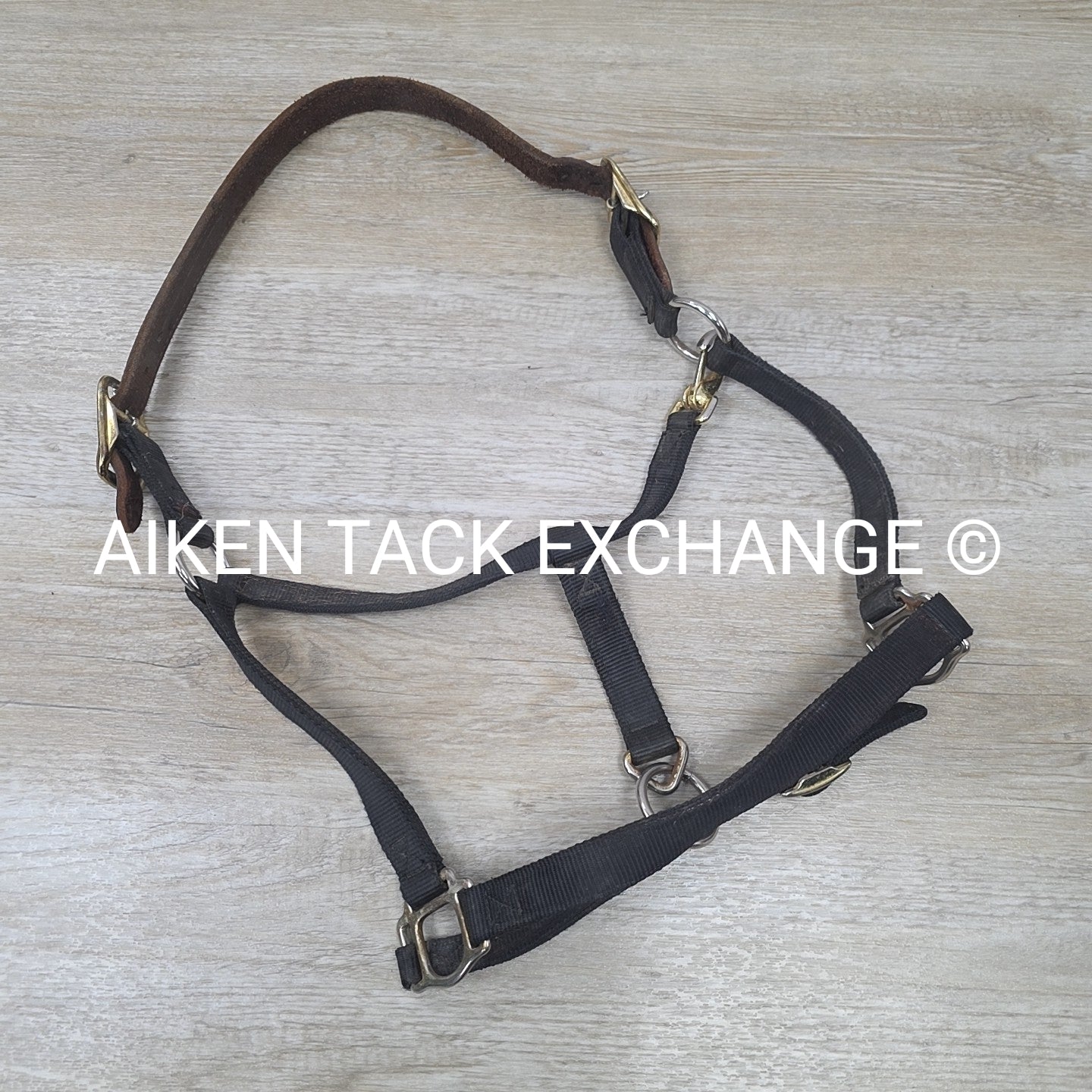 Perri's Nylon Breakaway Halter, Oversize