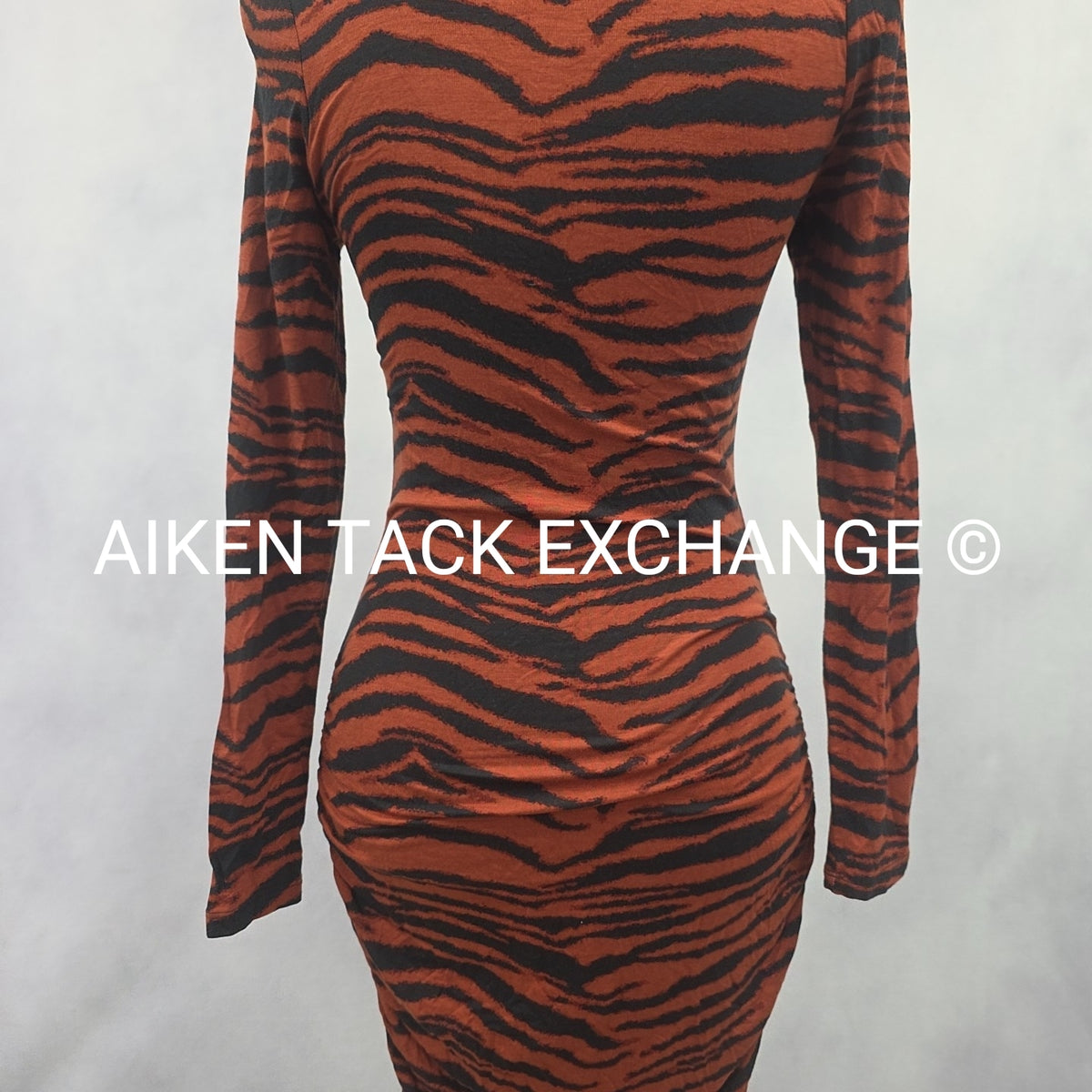 Venus Long Sleeve Dress, Size X-Small