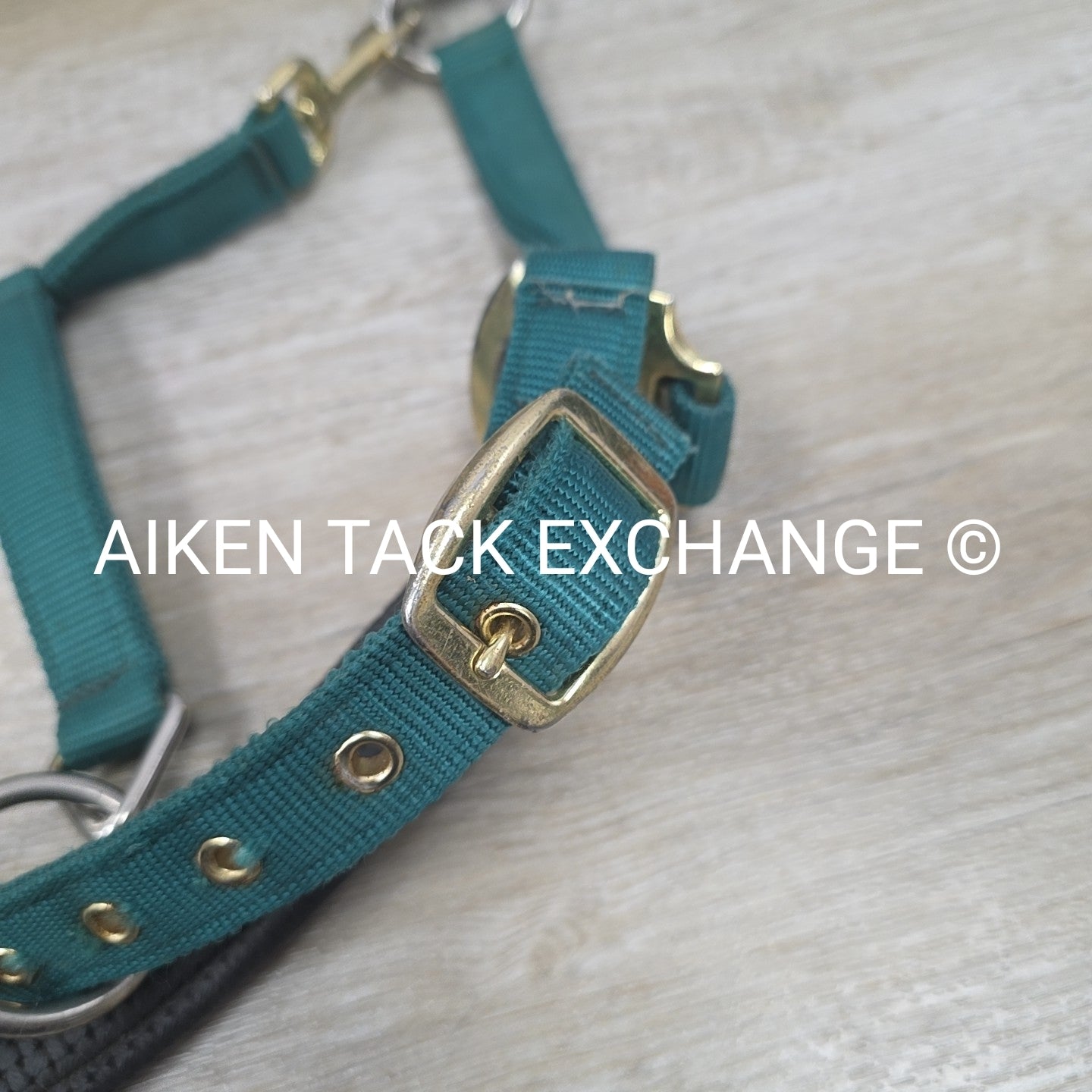 Hy Padded Nylon Halter, Size Full