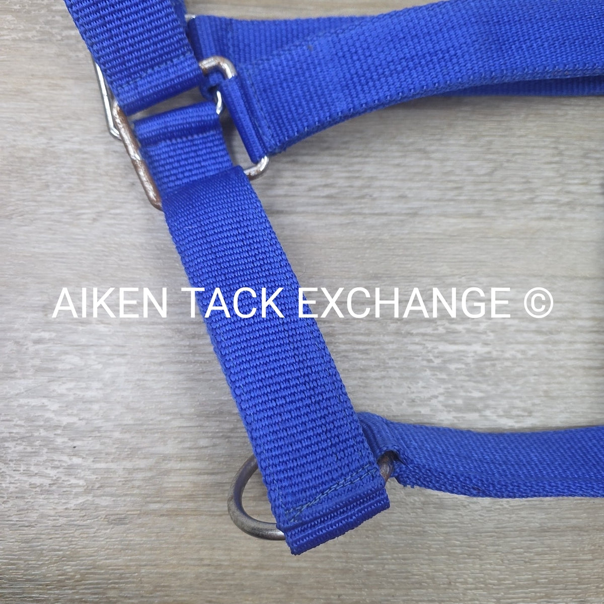 Nylon Halter, Draft